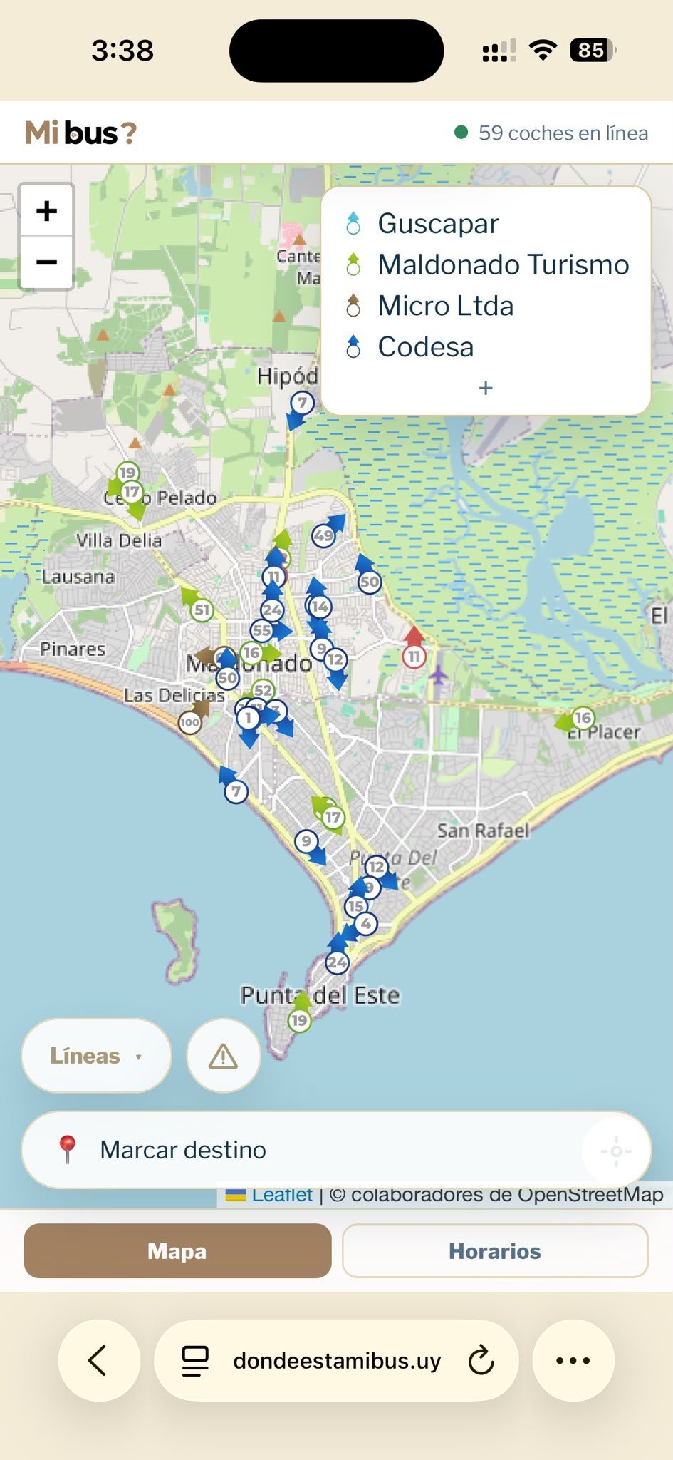 Mapa en vivo de Mi Bus con ómnibus de las cuatro empresas circulando por Maldonado y Punta del Este
